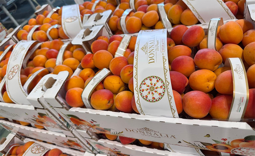 Albicocca Kioto - Sicilia - 3,50 euro al chilogrammo